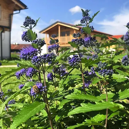 Alpehytte Bergchalet Falkenstein, Inzell, Cleaning Included